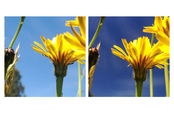 Polarizačný filter pre iPhone 5